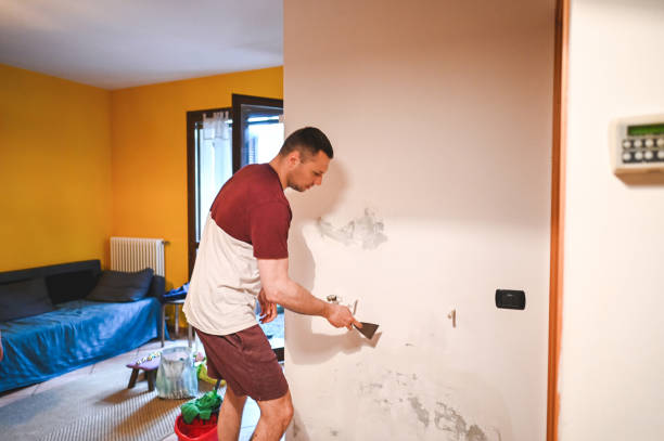 Best Commercial Mold Remediation in Ava, MO